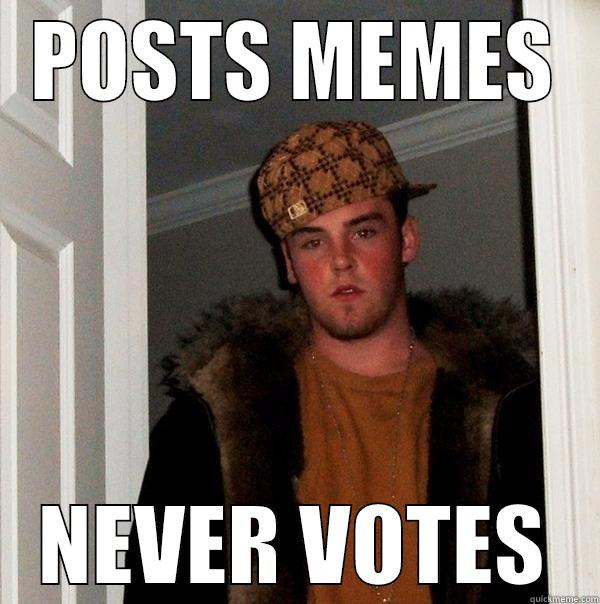 Internet Activist - POSTS MEMES NEVER VOTES Scumbag Steve