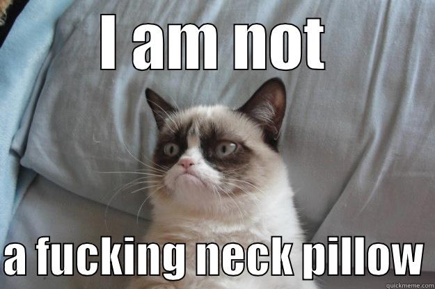 I AM NOT  A FUCKING NECK PILLOW Grumpy Cat