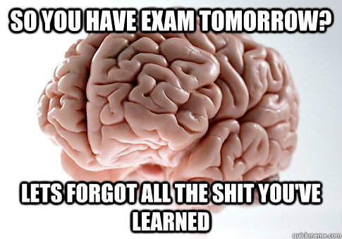 so you have exam tomorrow?  Lets forgot all the shit you've learned  Scumbag Brain