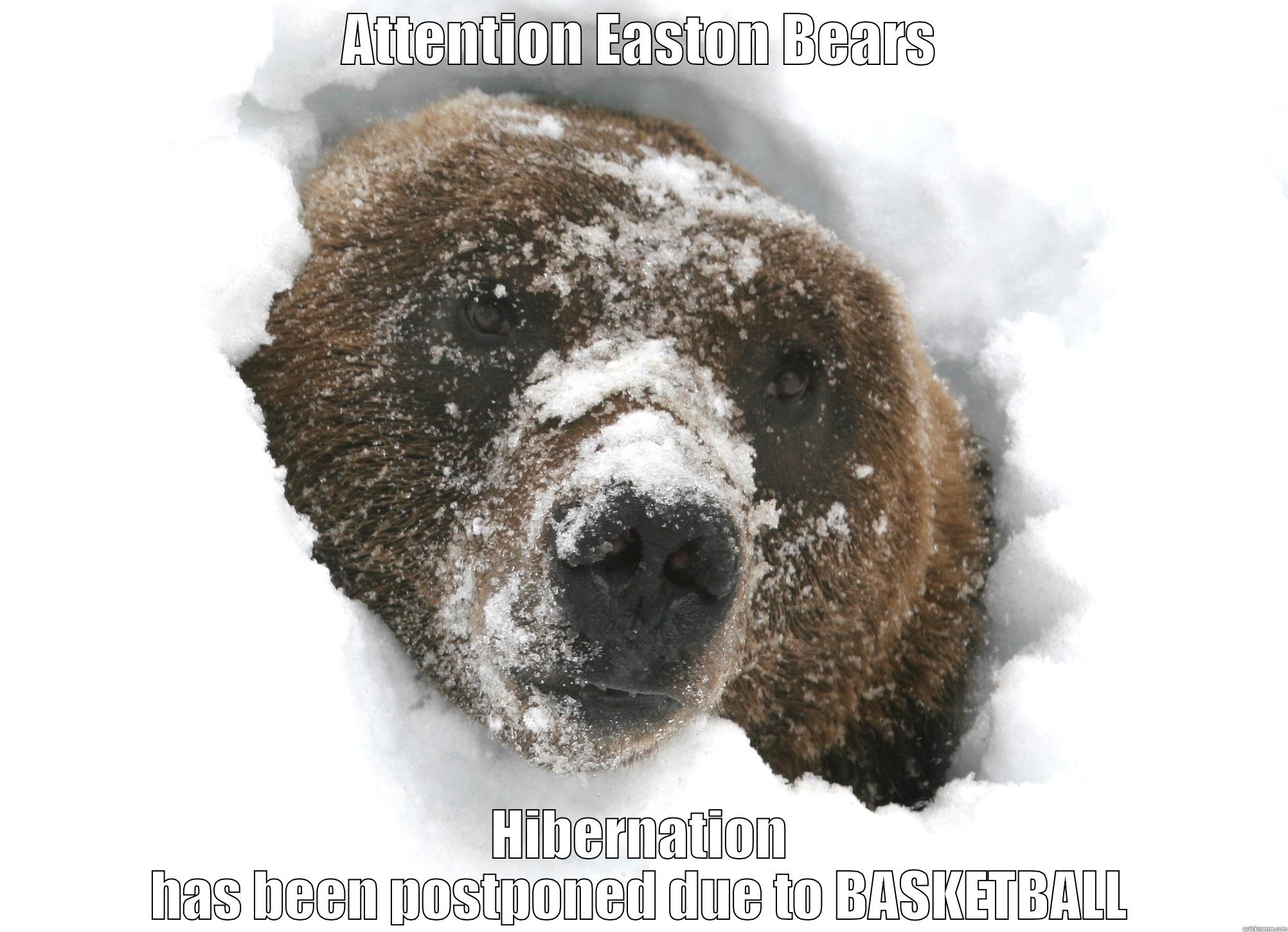 ATTENTION EASTON BEARS HIBERNATION HAS BEEN POSTPONED DUE TO BASKETBALL Misc