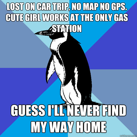 lost on car trip, no map no gps. cute girl works at the only gas station guess i'll never find my way home  