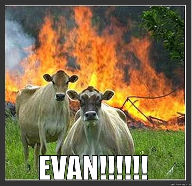  EVAN!!!!!! Evil cows