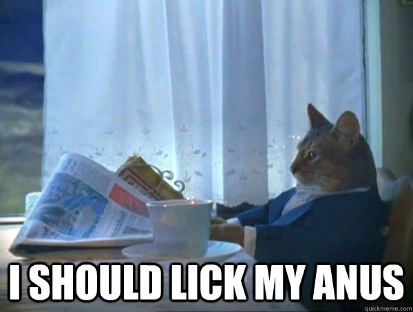  I should lick my anus  morning realization newspaper cat meme