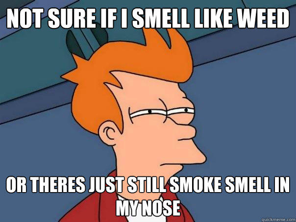 not sure if I smell like weed Or theres just still smoke smell in my nose  Futurama Fry