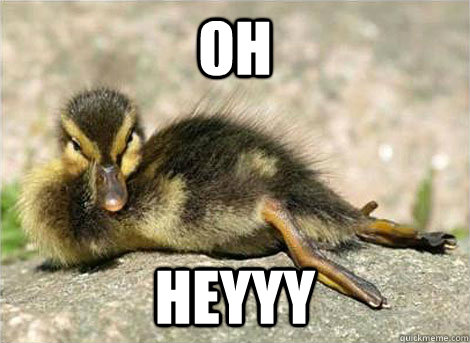 Oh Heyyy - Oh Heyyy  Duck hey