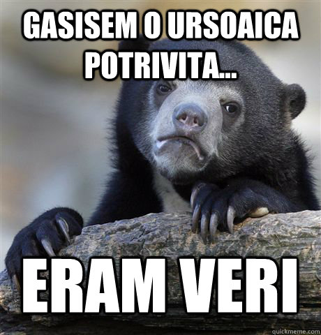 Gasisem o ursoaica potrivita... Eram veri  Confession Bear