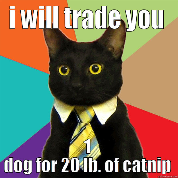 I WILL TRADE YOU 1 DOG FOR 20 LB. OF CATNIP Business Cat