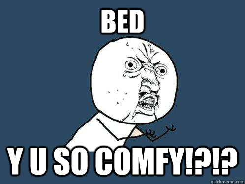 BED Y U SO COMFY!?!?  Y U No