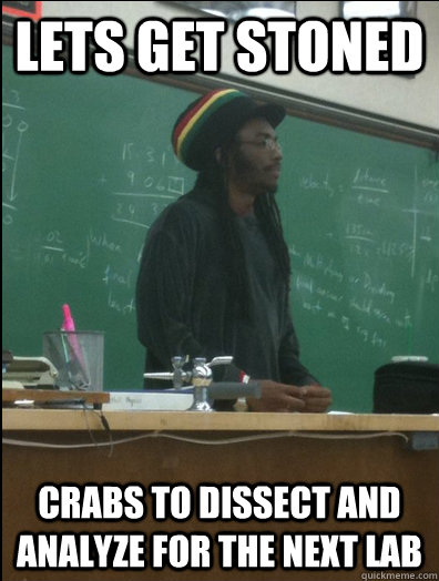 lets get stoned crabs to dissect and analyze for the next lab  Rasta Science Teacher