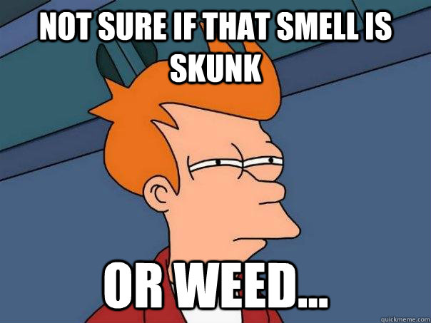 Not sure if that smell is skunk Or weed... - Not sure if that smell is skunk Or weed...  Futurama Fry