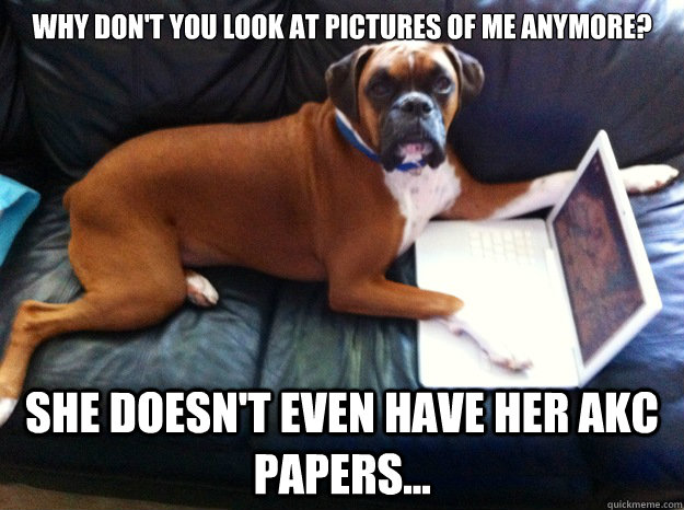 why don't you look at pictures of me anymore? she doesn't even have her akc papers...  Oblivious Boxer