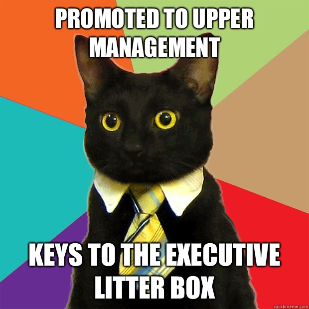 Promoted to upper management Keys to the executive litter box  Business Cat