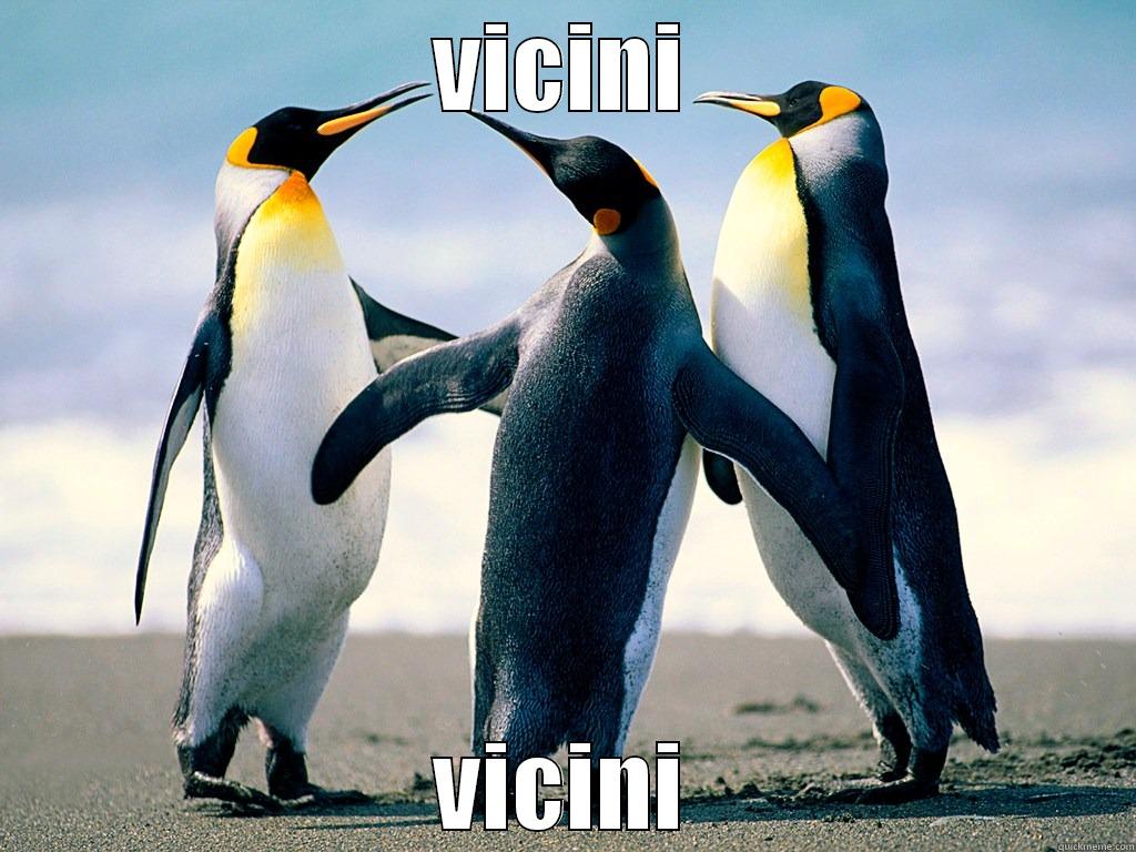 VICINI VICINI Misc