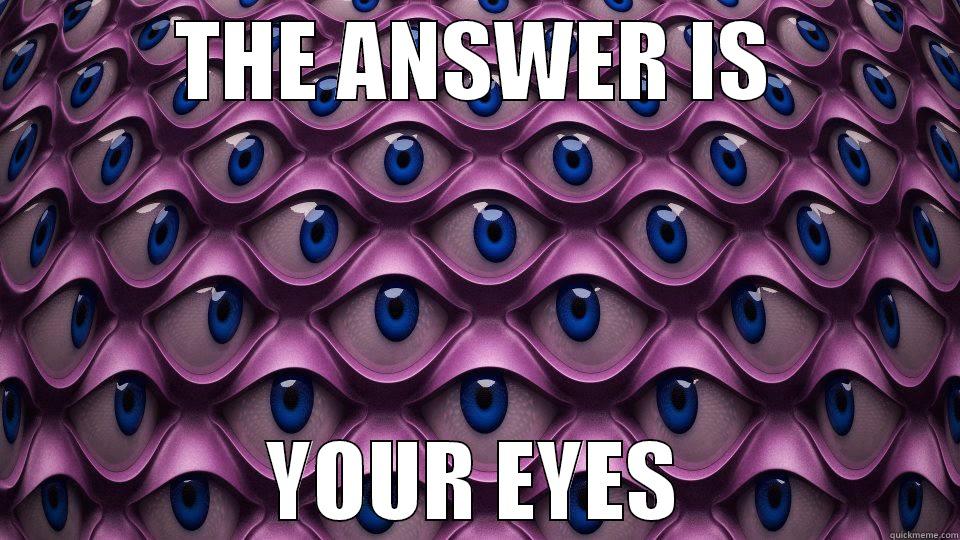 THE ANSWER IS YOUR EYES Misc