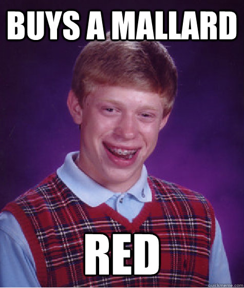 Buys a mallard Red  Bad Luck Brian