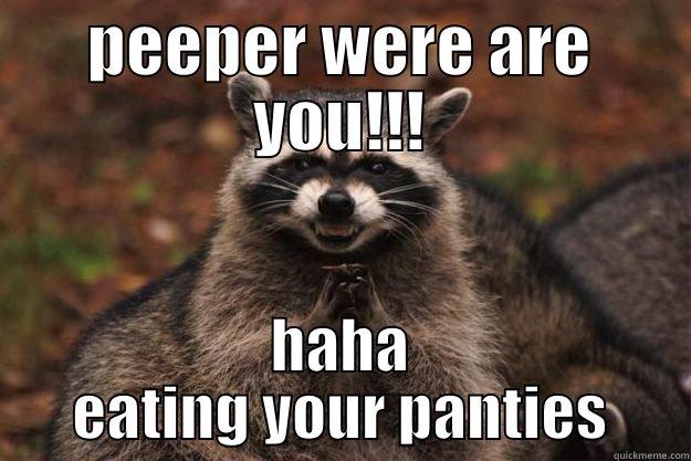 PEEPER WERE ARE YOU!!! HAHA EATING YOUR PANTIES Evil Plotting Raccoon