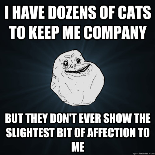 i have dozens of cats to keep me company but they don't ever show the slightest bit of affection to me  Forever Alone