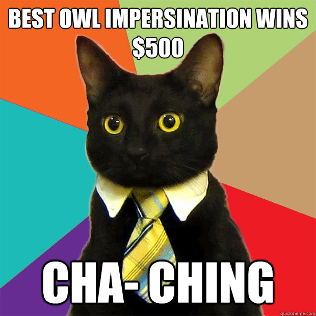 Best owl impersination wins $500 Cha- Ching  Business Cat