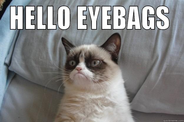 EYE BAGS - HELLO EYEBAGS  Grumpy Cat