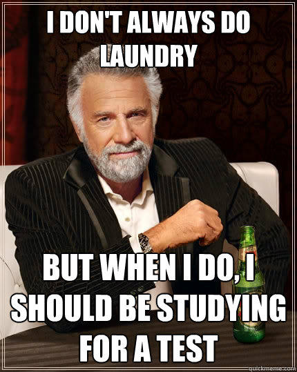 I DON'T ALWAYS DO LAUNDRY BUT WHEN I DO, I SHOULD BE STUDYING FOR A TEST  