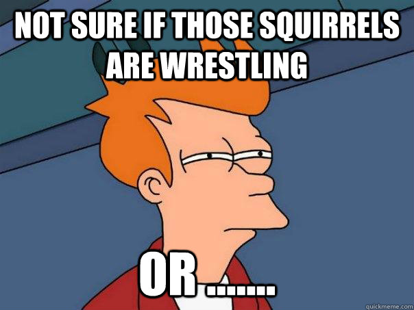 Not sure if those squirrels are wrestling Or .......  Futurama Fry