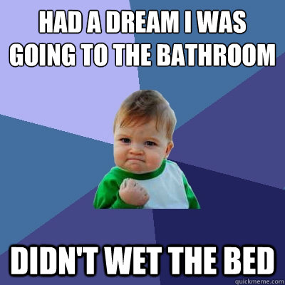 had a dream I was going to the bathroom didn't wet the bed - had a dream I was going to the bathroom didn't wet the bed  Success Kid