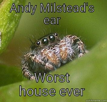 ANDY MILSTEAD'S EAR WORST HOUSE EVER Misunderstood Spider