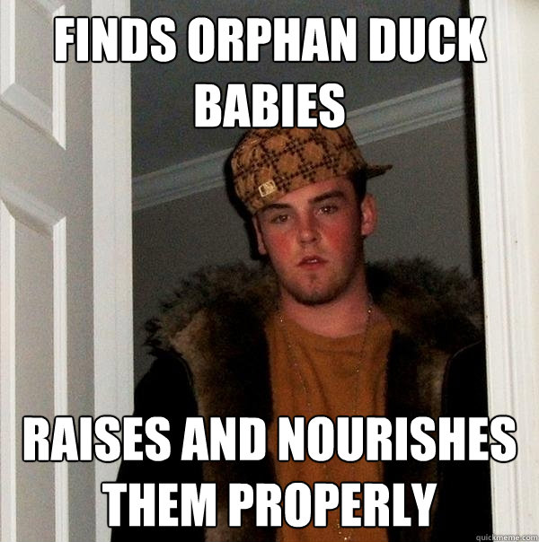 finds orphan duck babies raises and nourishes them properly   Scumbag Steve