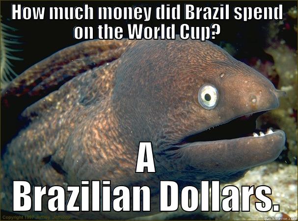 HOW MUCH MONEY DID BRAZIL SPEND ON THE WORLD CUP? A BRAZILIAN DOLLARS. Bad Joke Eel