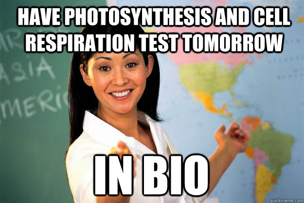 Have photosynthesis and cell respiration test tomorrow in bio  Unhelpful High School Teacher