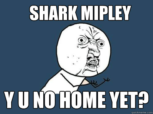 shark mipley y u no home yet?  Y U No