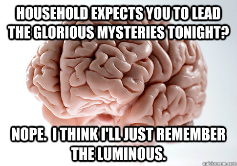 Household expects you to lead the Glorious mysteries tonight? Nope.  I think I'll just remember the Luminous.  Scumbag Brain