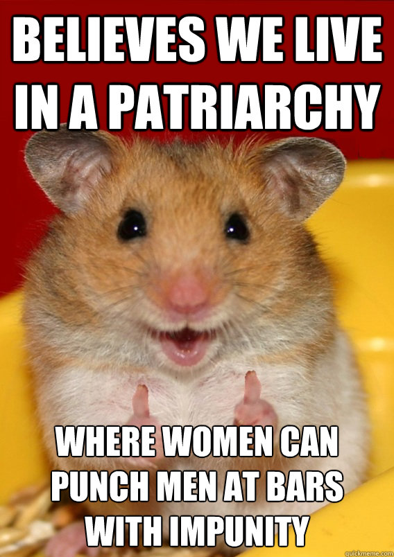 Believes we live in a patriarchy Where women can punch men at bars with impunity   Rationalization Hamster