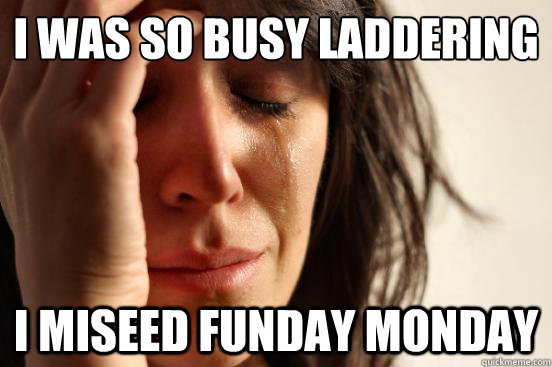 I was so busy laddering I miseed funday monday  First World Problems