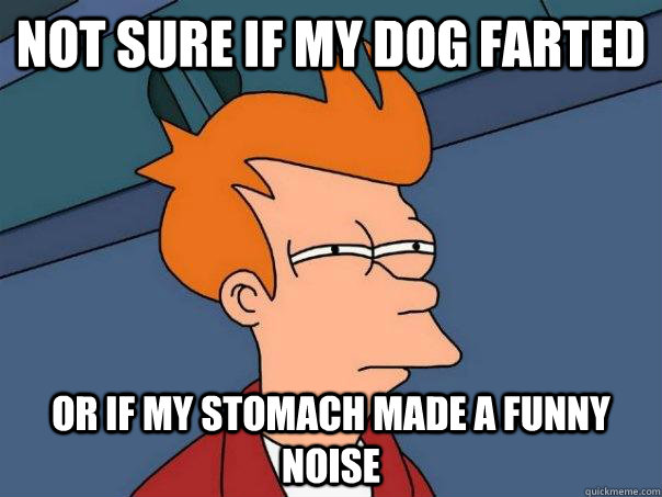 Not sure if my dog farted Or if my stomach made a funny noise - Not sure if my dog farted Or if my stomach made a funny noise  Futurama Fry