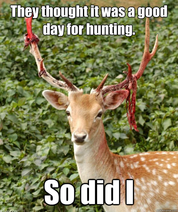 They thought it was a good day for hunting. So did I - They thought it was a good day for hunting. So did I  Vengeful Deer