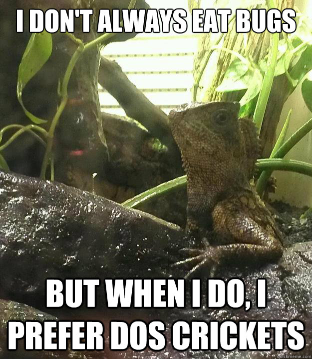 I don't always eat bugs but when I do, I prefer dos crickets - I don't always eat bugs but when I do, I prefer dos crickets  Misc