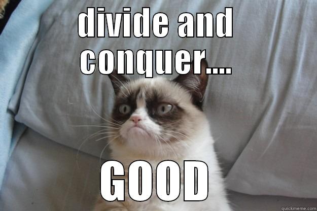 DIVIDE AND CONQUER.... GOOD Grumpy Cat