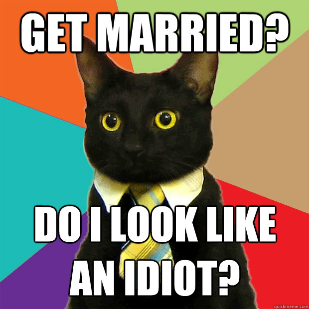 get married? Do I look like 
an idiot?  Business Cat