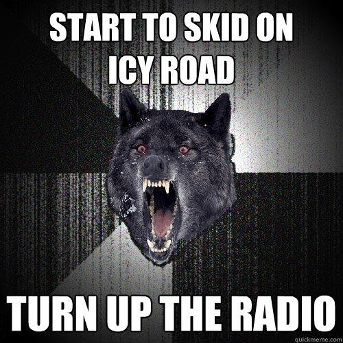 start to skid on         icy road turn up the radio - start to skid on         icy road turn up the radio  Insanity Wolf