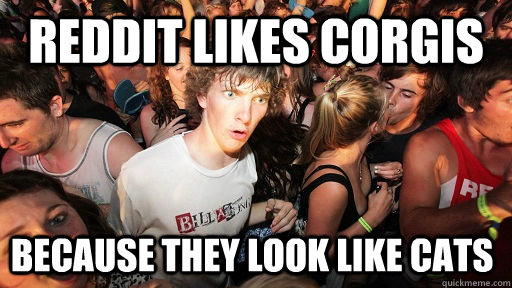 reddit likes corgis because they look like cats  Sudden Clarity Clarence