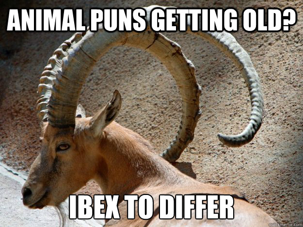 animal puns getting old? Ibex to differ  - animal puns getting old? Ibex to differ   Ibex to Differ