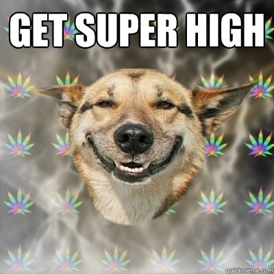 GET SUPER HIGH   Stoner Dog