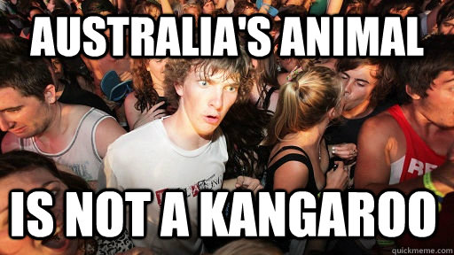 Australia's animal Is not a kangaroo  Sudden Clarity Clarence