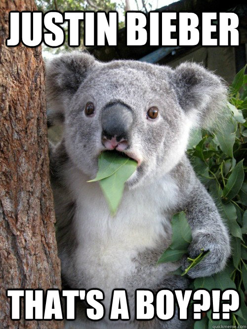 Justin Bieber That's a boy?!? - Justin Bieber That's a boy?!?  koala bear