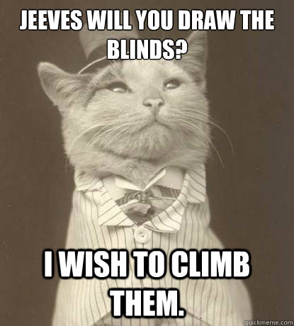 Jeeves will you draw the blinds? I wish to climb them.   Aristocat