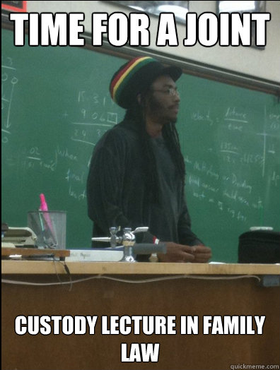 Time for a Joint Custody lecture in family law  Rasta Science Teacher