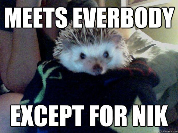 meets everbody except for nik - meets everbody except for nik  Margo the Hedgehog