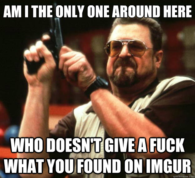 Am I the only one around here who doesn't give a fuck what you found on imgur  Big Lebowski