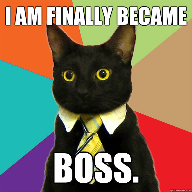 i am finally became boss.  Business Cat